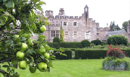 Apple Day