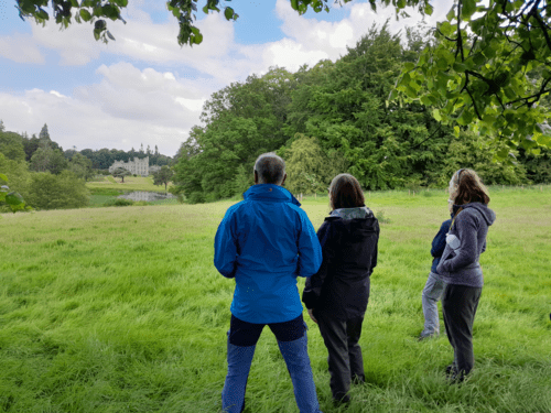 The Estate Walk Sunday 10 August 2025