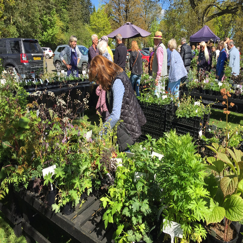 Plant and Food Fair Sunday 12 May