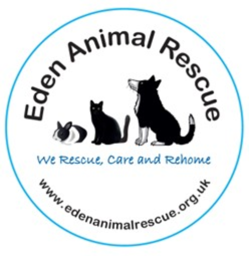Eden Animal Rescue Dog Show